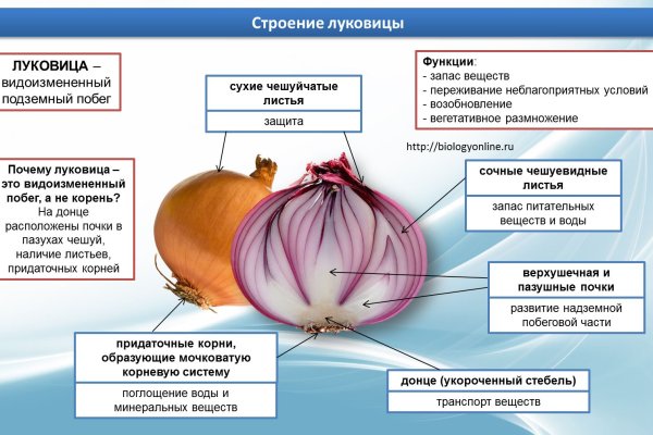 Кракен через браузер