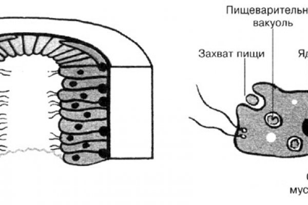 Kraken istand onion